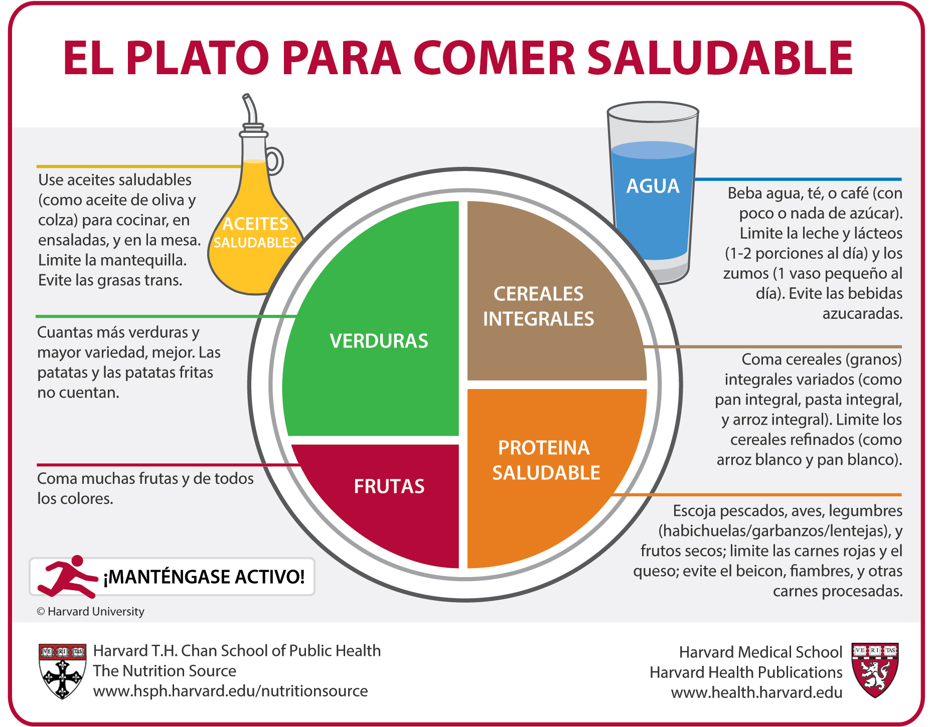 EL MÉTODO DEL PLATO PARA LLEVAR UNA ALIMENTACIÓN EQUILIBRADA Y SALUDABLE PLATO COMER SALUDABLE